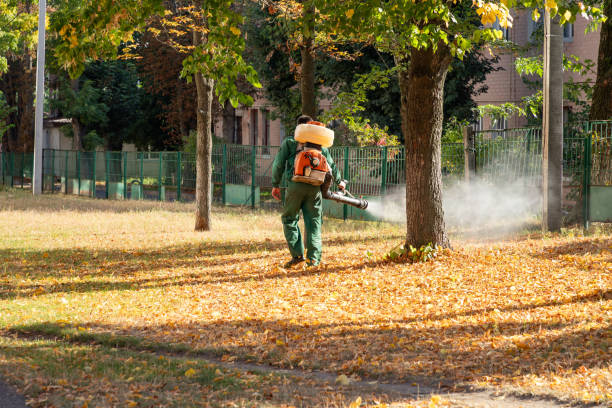 Best Mosquito Control Services  in Way, NE