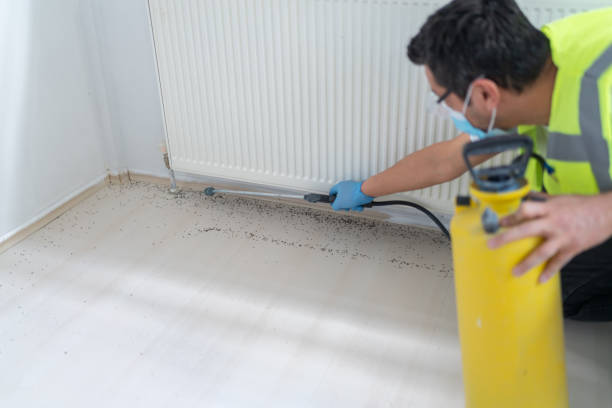 Best Bed Bug Extermination  in Way, NE