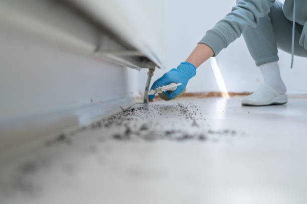 Best Affordable Pest Control Services  in Way, NE